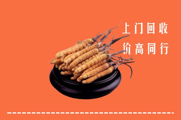 高价求购：富川县回收散虫草