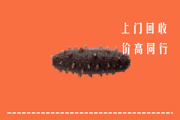 富川县回收海参
